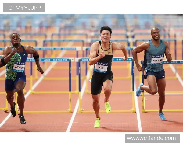 上海排球队在钻石联赛中的拼搏历程与荣耀时刻全景回顾 上海排球队在钻石联赛中的拼搏历程与荣耀时刻全景回顾