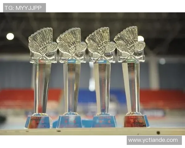 成都羽毛球队总决赛精彩表现分析与实力评估