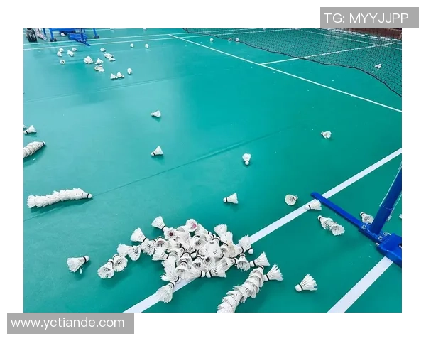 羽毛球盛宴:深入分析深圳羽毛球队的战术布局与训练秘诀 羽毛球盛宴:深入分析深圳羽毛球队的战术布局与训练秘诀