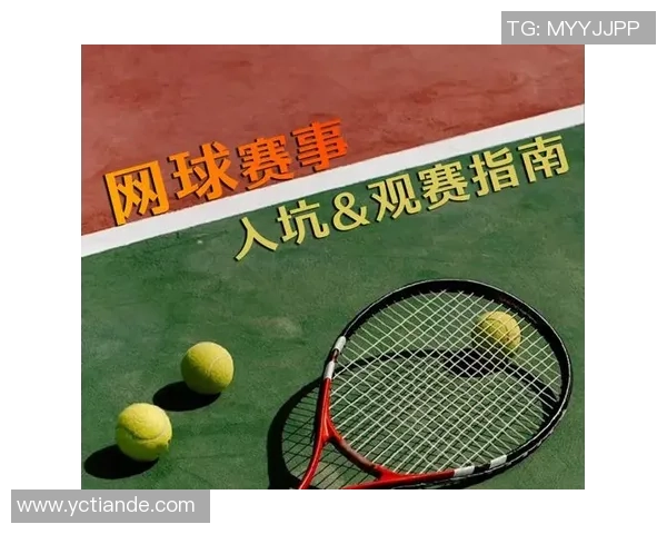 从零开始:网球配合完全攻略 从零开始:网球配合完全攻略