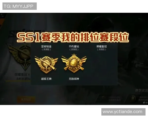 和平精英纪实：记录WE的成长故事