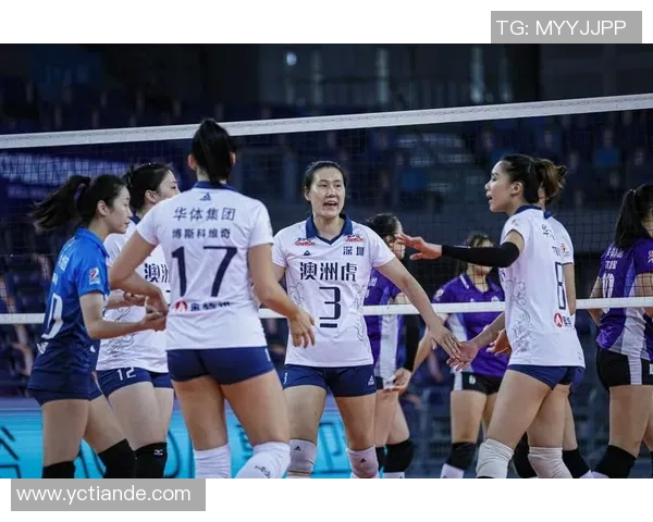排球热点：解读深圳排球队的快攻