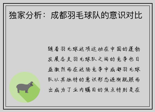 独家分析：成都羽毛球队的意识对比